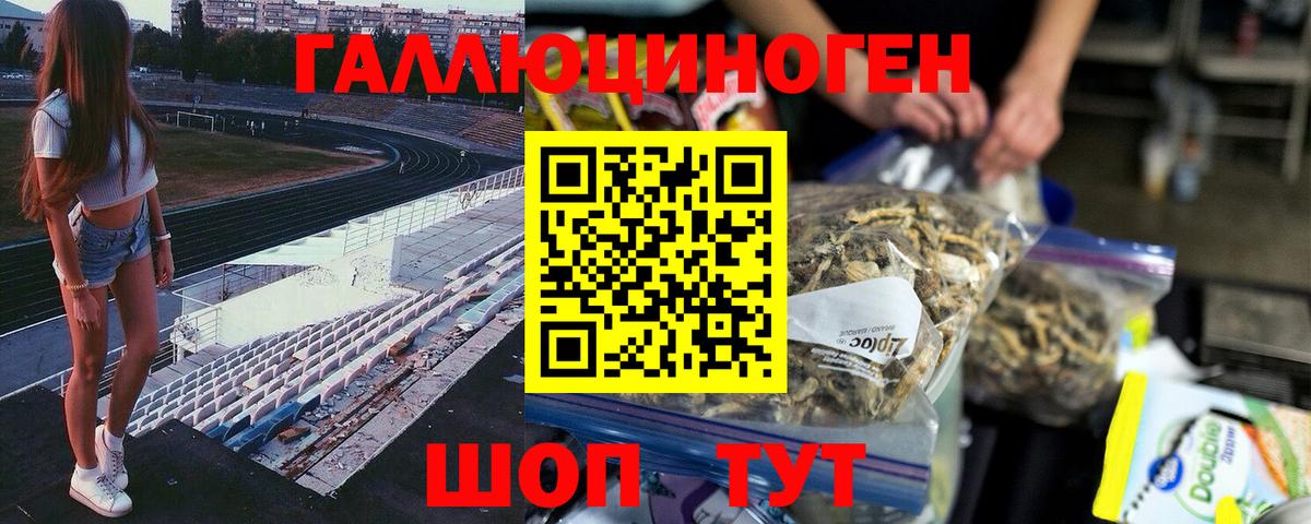 Псилоцибиновые грибы Psilocybine cubensis  Вход с VPN  Котовск 