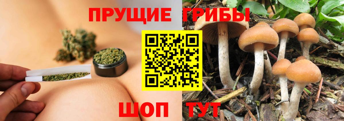 Псилоцибиновые грибы мухоморы Котовск